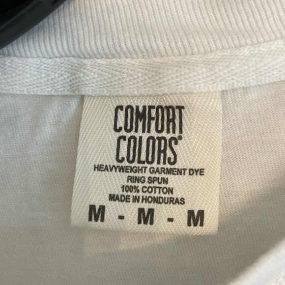 Comfort Colors Pumpkin Pie Pregnancy Reveal Tee 🎃 - Picture 3 of 6